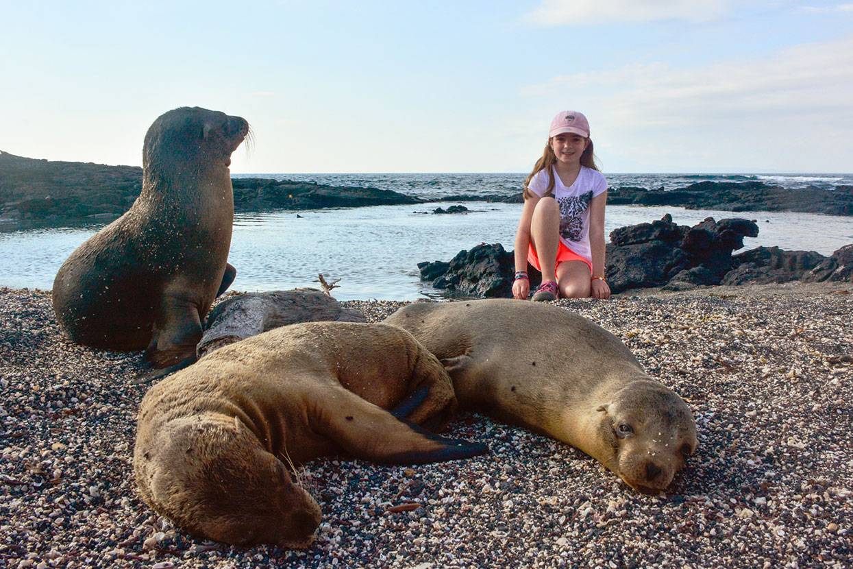 A kid with Galapagos sea lions